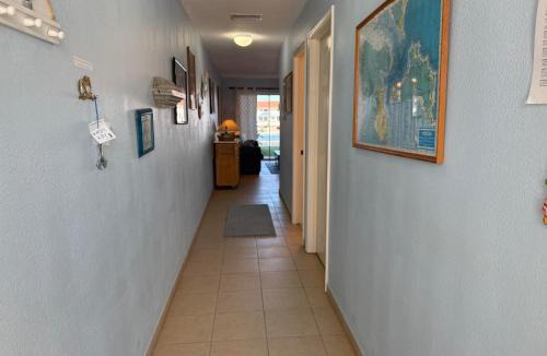 South Bimini Apartment | Bimini Paradies South Bimini North Bimini Bahamas Bimini 10B Alice Town