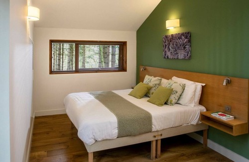 Freefolk Cabin | Blackwood Forest Golden Oak, Winchester