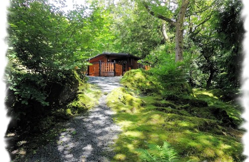 Skelwith Bridge Cabin | Blelham Tarn (Rustic yet modern cabin in tranquil woodland with own EV charger)