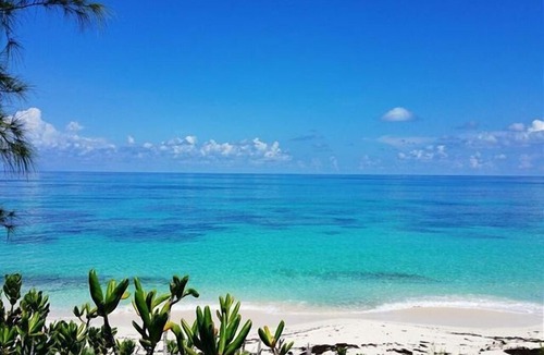 North Palmetto Point Villa | Brand New One-Bedroom Cottage with Full Beachfront Resort Privileges