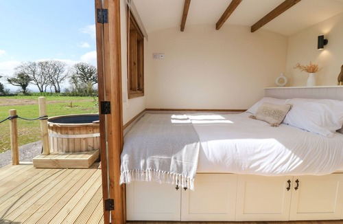 Crediton Cottage | Buzzards
