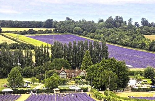 Eynsford Hotel | Castle Hotel