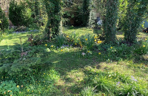 Isle of Purbeck Cottage | Castle View Annex