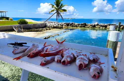 Great Guana Cay Cottage | Charming 2 BR cottage in Great Guana Cay short walk to beach, AC WiFi Generator