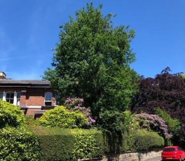 Chorlton-cum-Hardy Apartment | Chorlton Garden Rooms. Relax, work, stay and play.