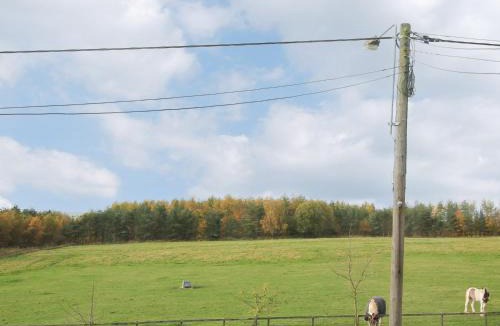 Durham House | Colliery Cottage