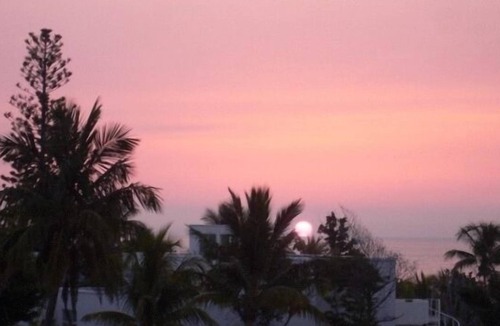 Williams Town Condo | Comfortable 2 BR Oceanfront Condo with Ocean View on Freeport's Best Beach