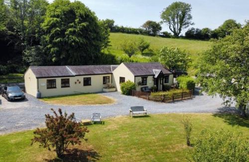 Saundersfoot House | Cornflower