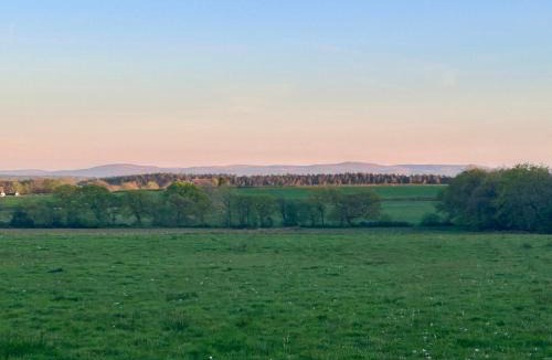 Rosevine Other | Cranford Oak Farm Campsite