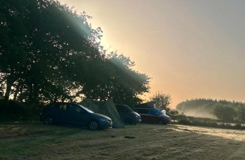 Rosevine Other | Cranford Oak Farm Campsite