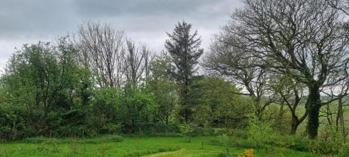 Fivelanes Apartment | Delightful Shepherd's Hut set in peaceful meadow