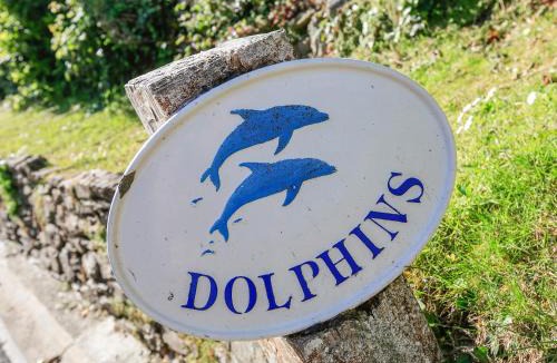 Salcombe House | Dolphins