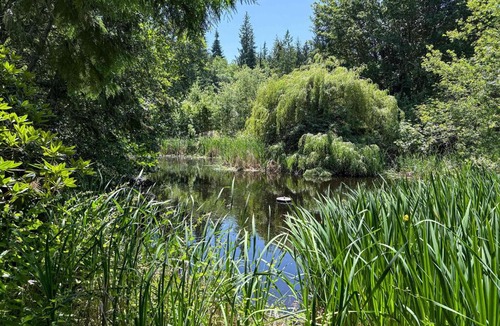 Sequim House | Dragonfly Haven