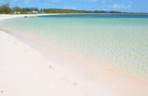 Winding Bay House | Family Friendly Beachfront Pink Sand Beaches Sleeps up to 15