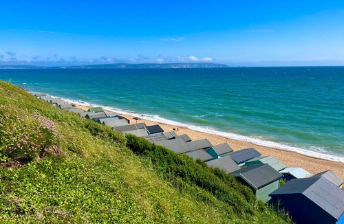 New Forest District Resort | Forest Haven