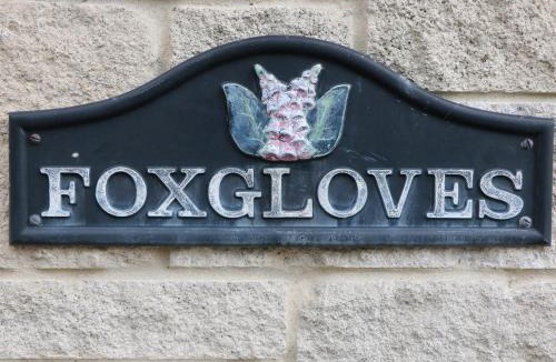Castleton House | Foxgloves