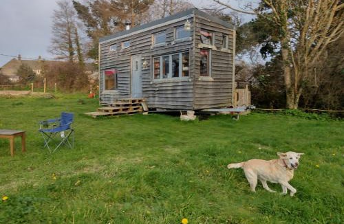 Gweek Other | GLAMPING UNITS Choose Tiny House or the Cosy Static