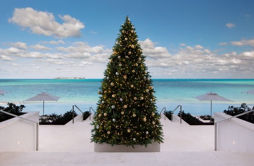 Nassau Apartment | Goldwynn Resort & Residences