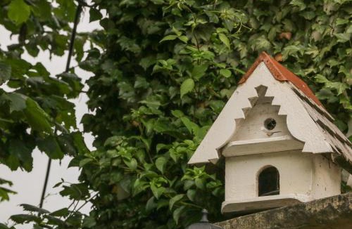 Castleton House | Grange Cottage