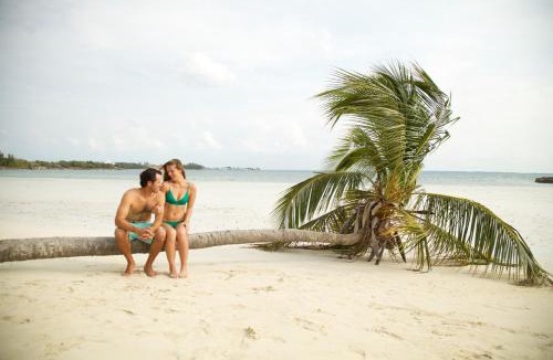 Green Turtle Cay Resort | Green Turtle Club Resort & Marina