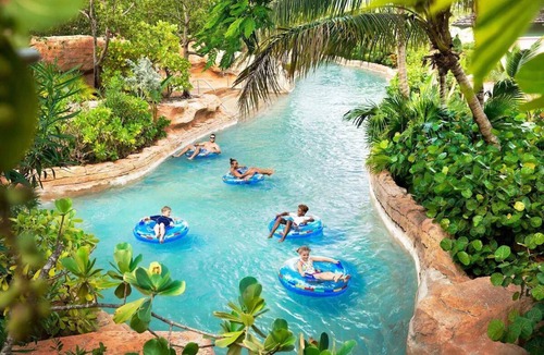 Paradise Island Hotel | Harborside Resort at Atlantis- 1 Bedroom -1 Bath -Access to Atlantis Water Parks
