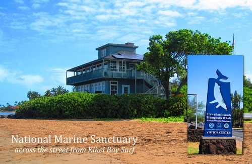 Kihei Condo | Kihei Bay Surf #213 Kitchen, Wifi, Great Rates, Shared Hot Tub, Near Beach