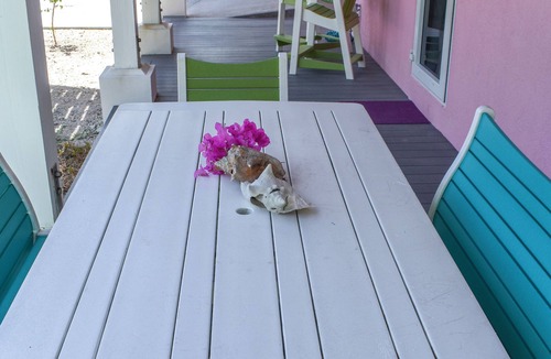 Green Turtle Estates House | Lillian's Bungalows - Ground Floor Retreat