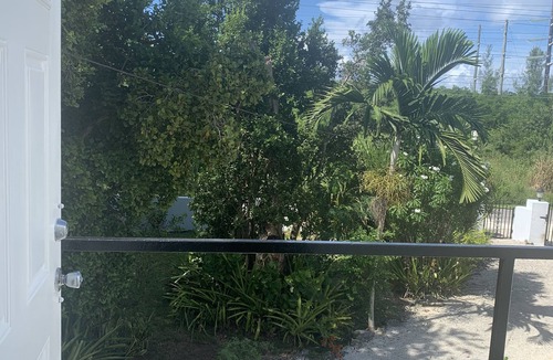 Nassau Apartment | Love nature? You are absolutely going to LOVE this place!