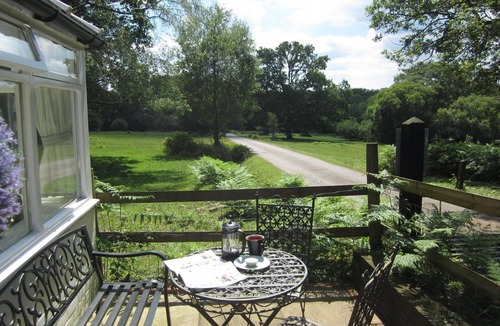 New Forest District Cottage | Luxury Forest Lodge with Games Room in Idyllic Location - Dog friendly, sleeps 8