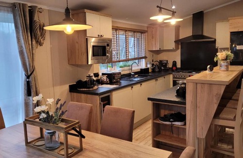 Milford on Sea Resort | LUXURY PEACEFUL LODGE on edge of New Forest and 800m from sea ENTERTAINMENT and LEISURE PASSES INCLUDED