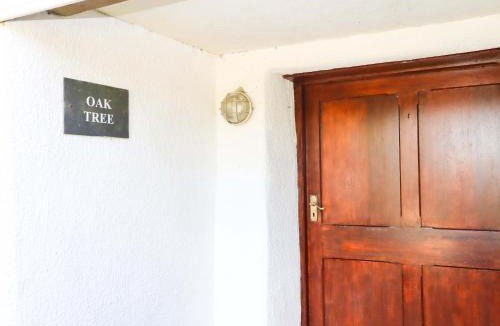 Washbourne House | Oak Tree