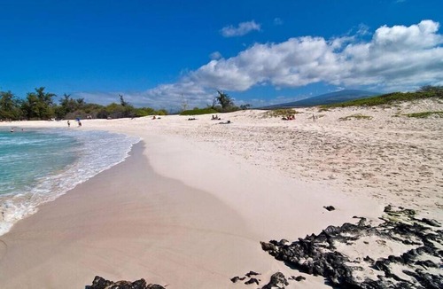 Holualoa House | Oceanview Pool & Spa large group