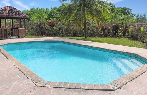 Downtown Apartment | One Bedroom Oasis with a pool to relax and soak up the sun