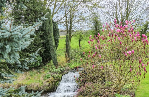 Cuckney Cottage | Pond View