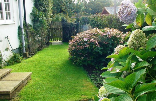 Burley Cottage | Pretty cottage with direct access to The New Forest