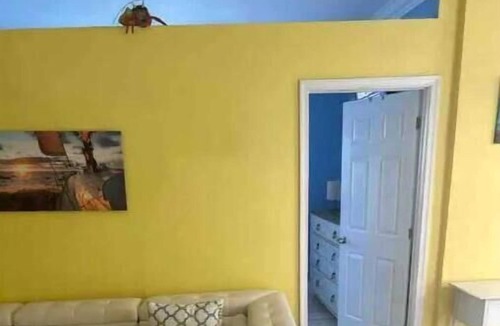 Alice Town House | Private Bimini Escape- 1 Bedroom Condo