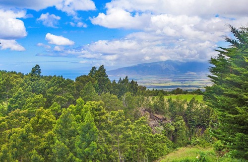 Kula Cottage | Private Home with Pool & Fruit Trees, on the Way to Haleakala National Park!
