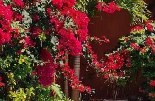 Paradise Island Villa | Private Pool & Garden - Tranquil Retreat