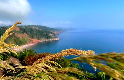 Babbacombe Hotel | Rooms At Babbacombe
