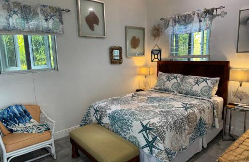 Gambier Apartment | Sea Shells