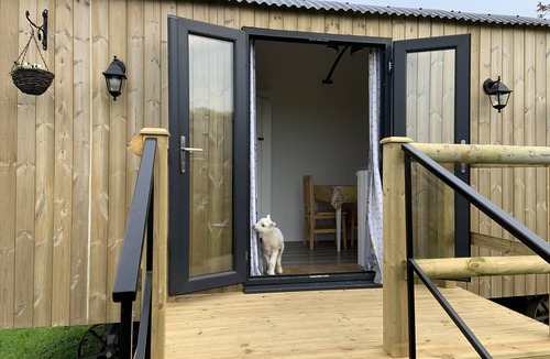 St Wenn Cabin | Shepherd's hut with hot tub