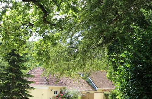 Burley Cottage | Stables Retreat - Direct Access to The Forest