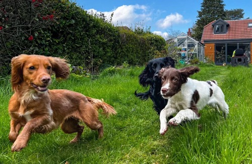 Cleedownton Apartment | Studio-LickeyHills-NearAttractions-Garden-1 Pet Ok