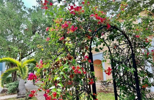 Bailey Town Apartment | Sunset Haven-Bimini Bay 3 Bedroom Vacation Home