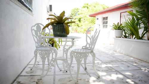Nassau House | Tangerine Sunsets Winton Rose