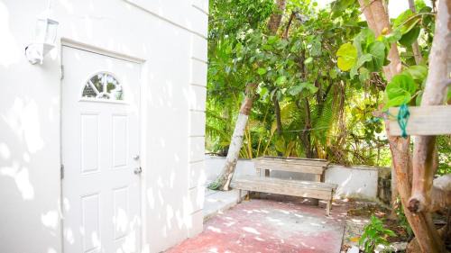 Nassau House | Tangerine Sunsets Winton Rose