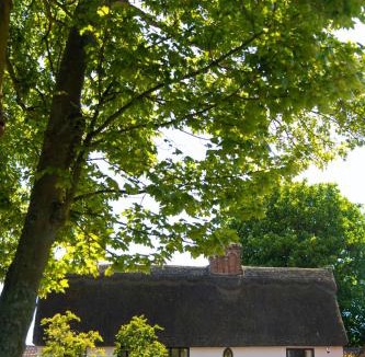 Balsham Hotel | The Black Bull Inn