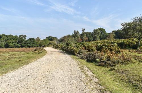 New Forest District House | The Cottage At Dockens Water