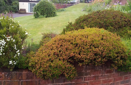 Sidmouth Apartment | The Garden Studio: South-facing with fabulous sea views