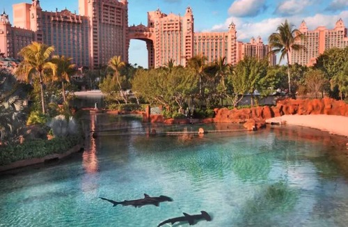 Paradise Island Condo | The Harborside Resort at Atlantis